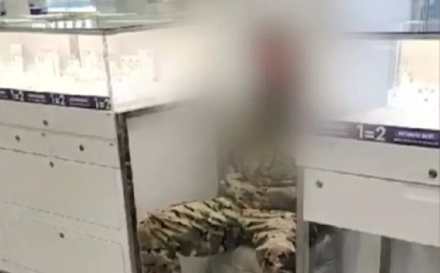 Скрин с видео МВД России.
