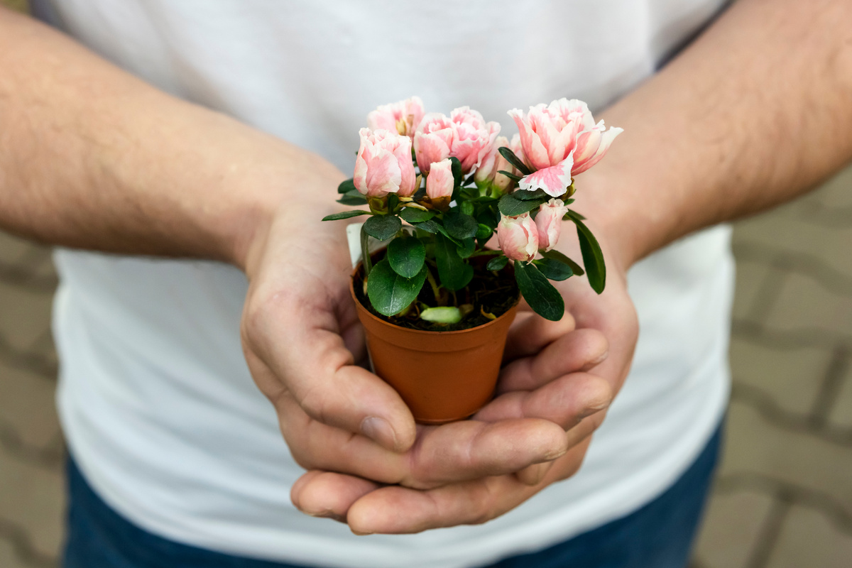 Источник изображения: <a href="https://ru.freepik.com/free-photo/close-up-man-holding-small-house-plant_7401952.htm#fromView=search&page=2&position=1&uuid=a36674f6-7440-4a20-9c18-7c63f72466c1">Изображение от freepik</a>