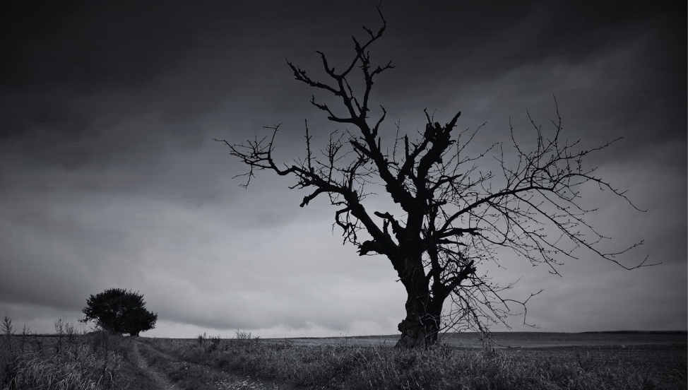 Оригинал изображения: Pixabay.