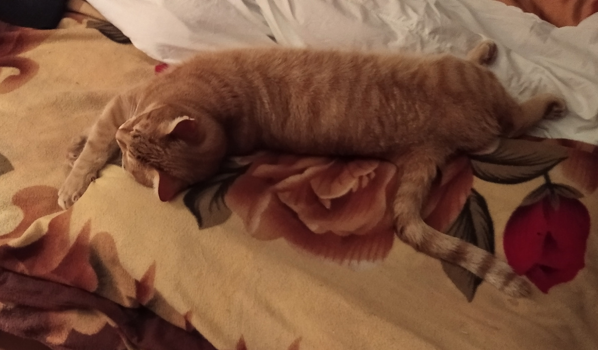 Личное фото