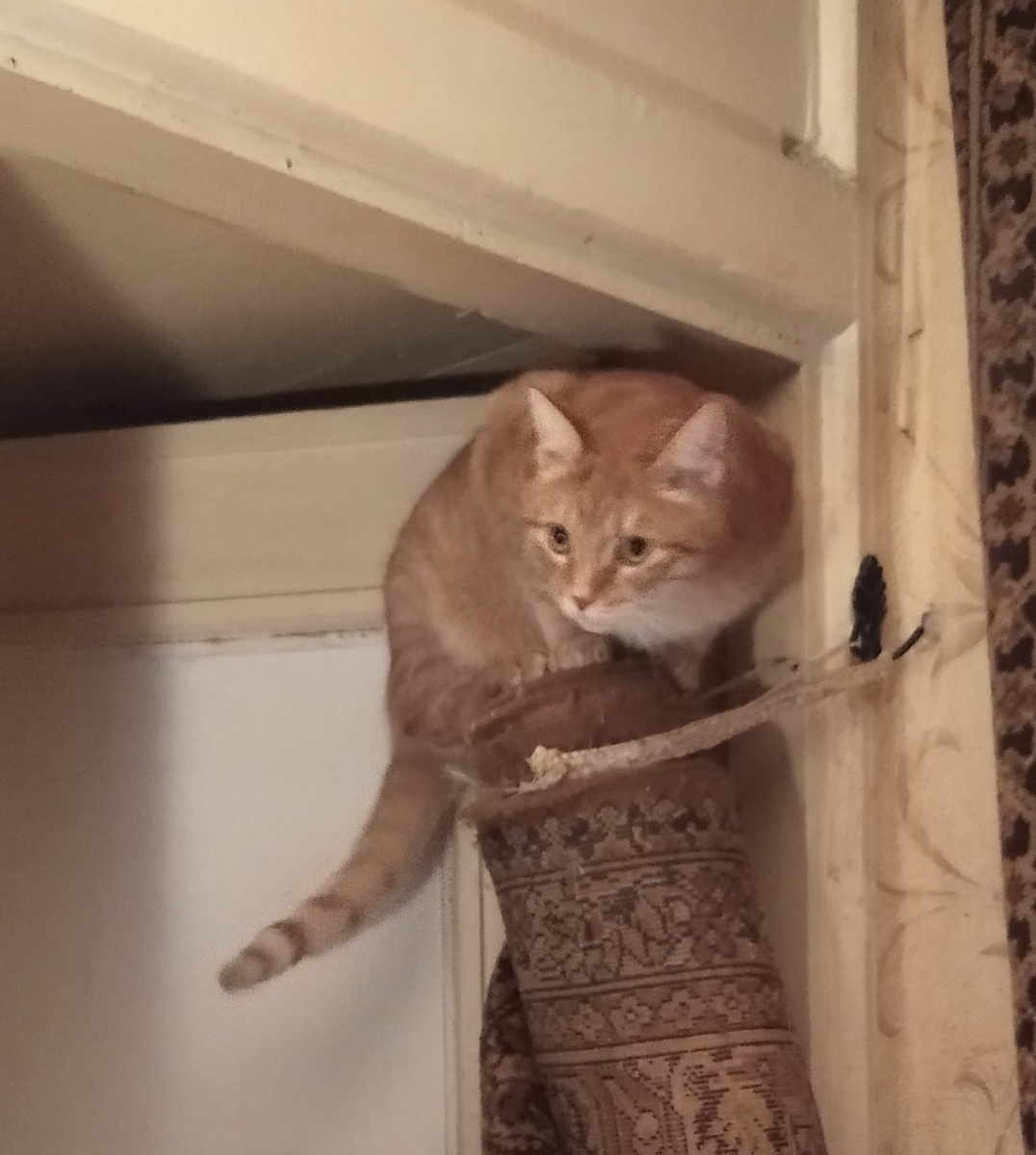 Личное  фото