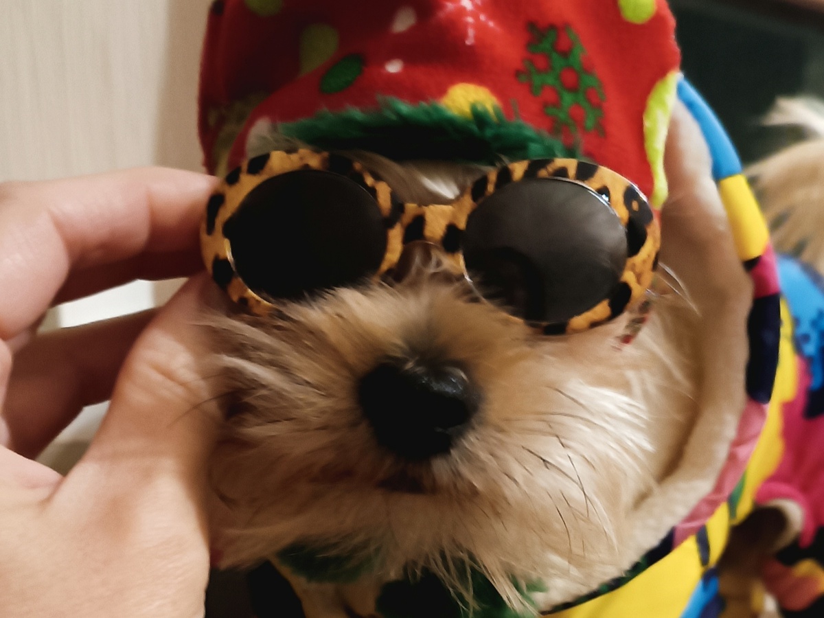 в модных очках и зимней одежде