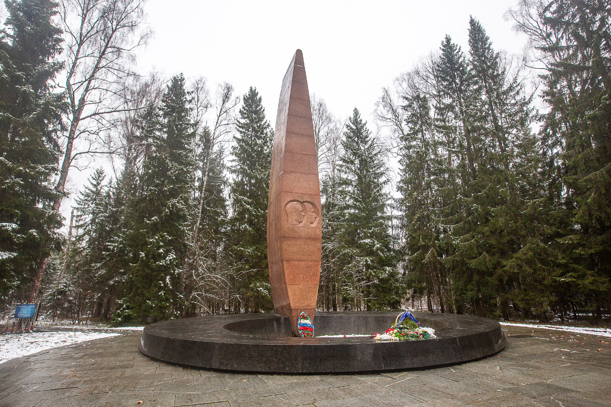Мемориал на месте гибели Юрия Гагарина и Владимира Серёгина - обелиск в виде крыла самолёта. Окрестности деревни Новосёлово. Киржачский район, Владимирская область. Фото автора статьи 