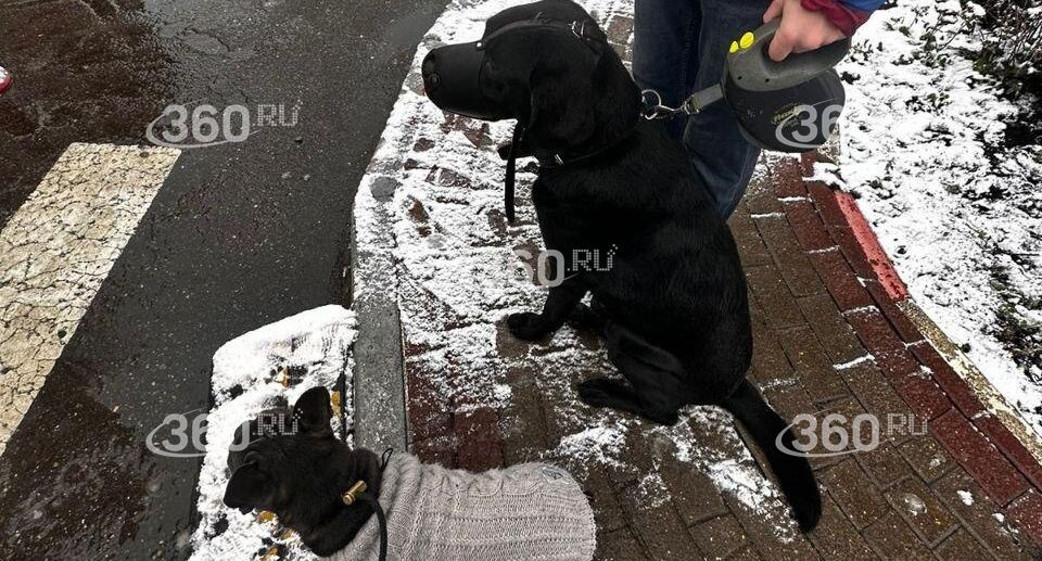    Телеканал «360»