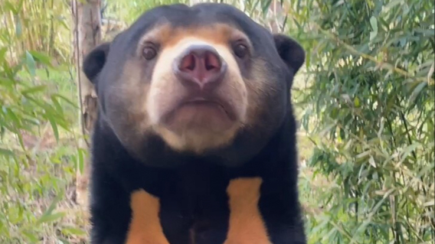    Фото: www.globallookpress.com/Cover Images