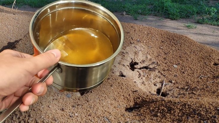 Фото с pinterest.com