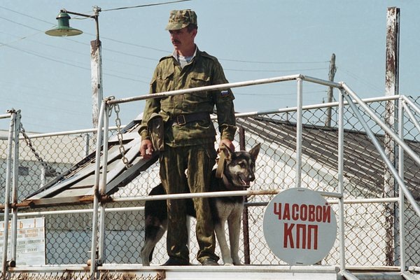 Фото: Семехин Анатолий / ТАСС