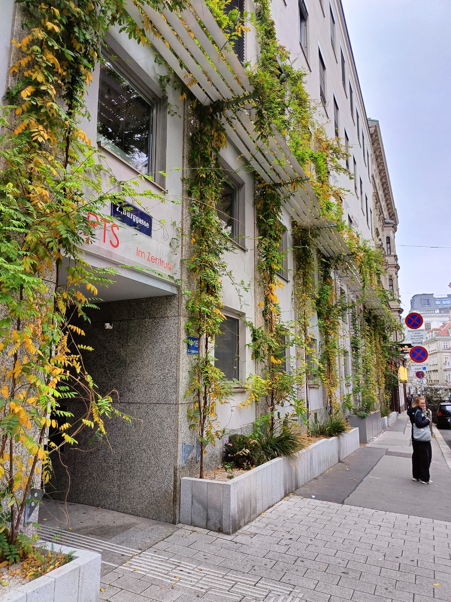 Фото автора. Вена. 26.10.2024.