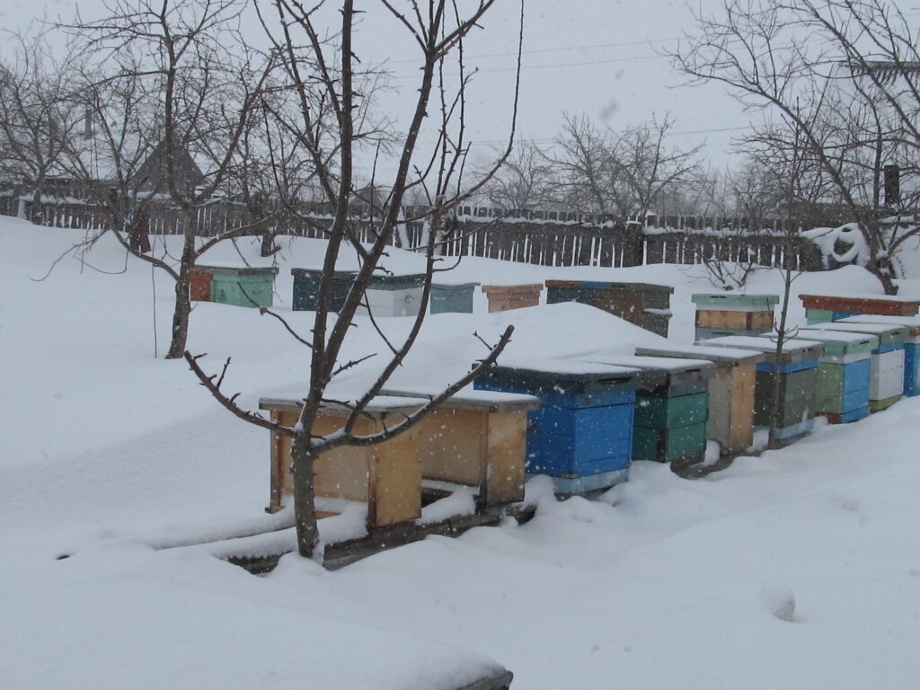 Зимняя пасека.