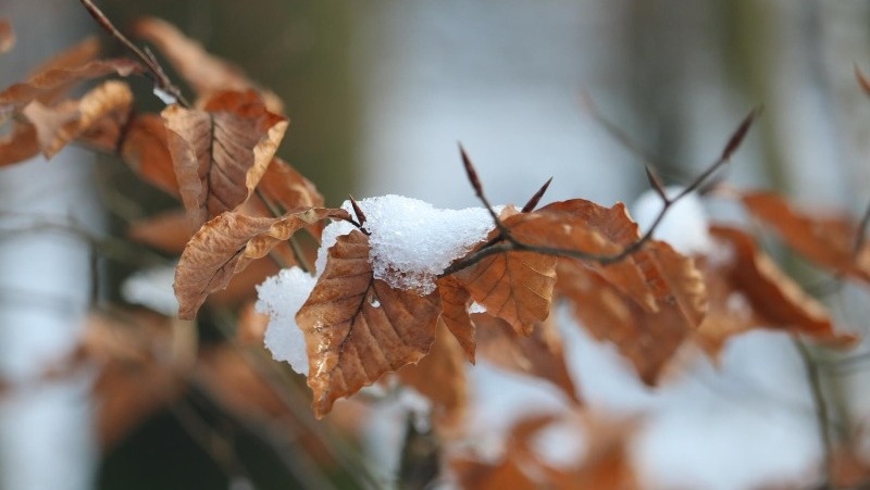 Фото: @EyeEm / freepik.com