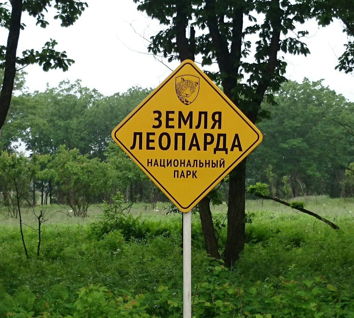 Если вы не котик, то дальше ходу нет!