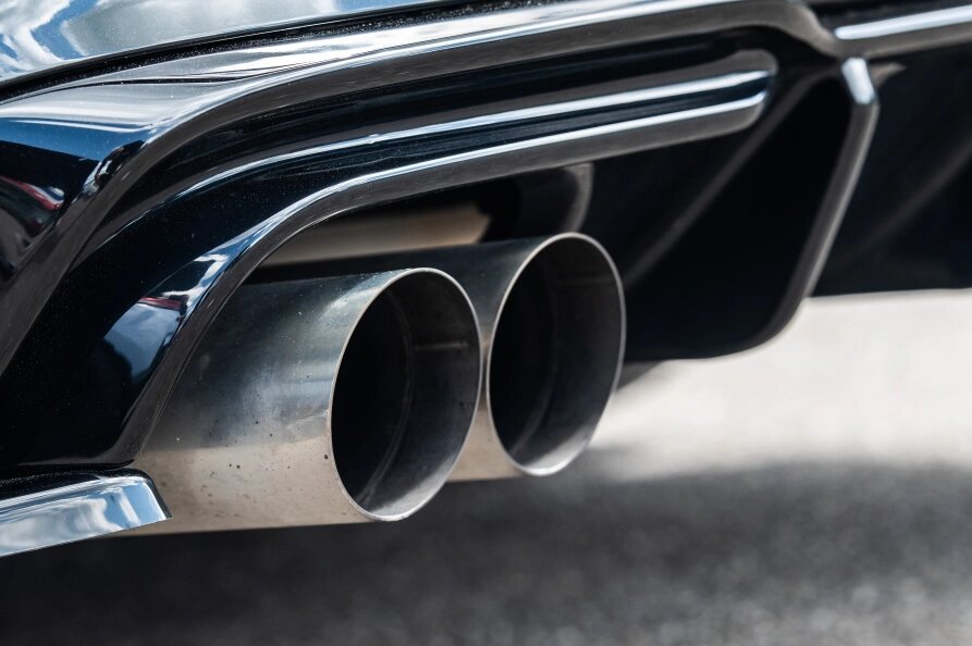    Фото: Silas Stein/Globallookpress