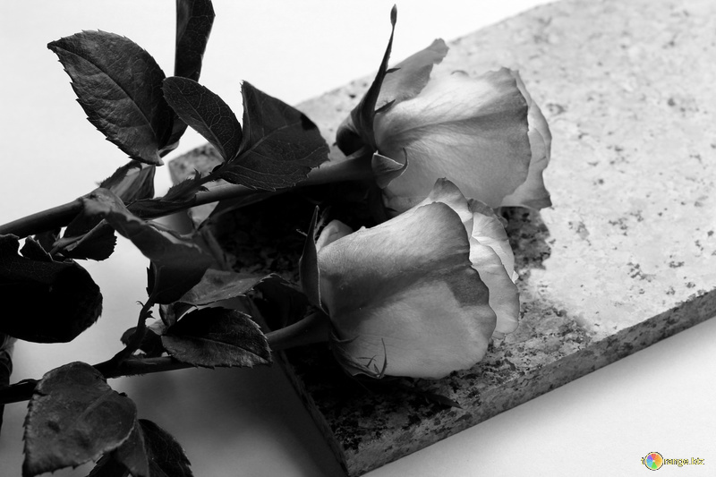    Скорбь / Источник: Torange.biz