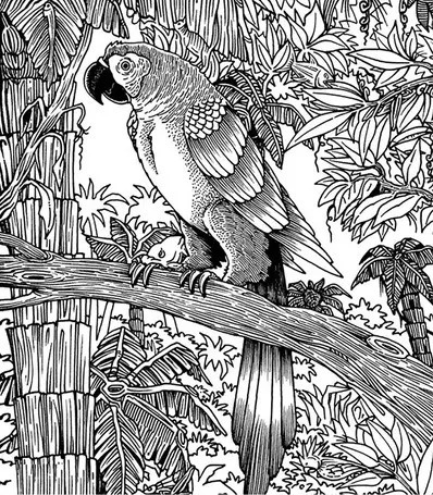     Источник: doctorpiter.ru