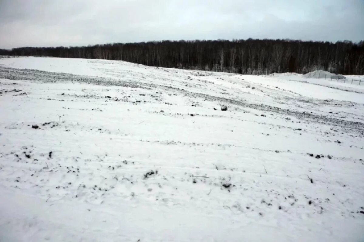    Незаконную свалку ликвидировали в Калининском районе Новосибирска