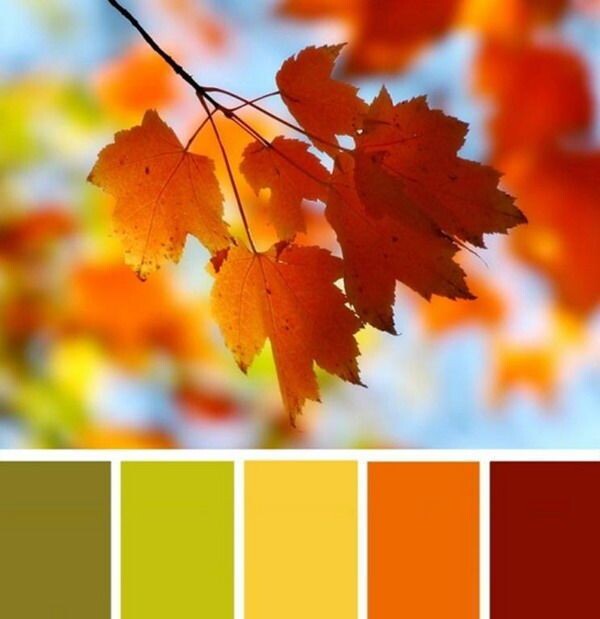 черпаем вдохновения в красках осени