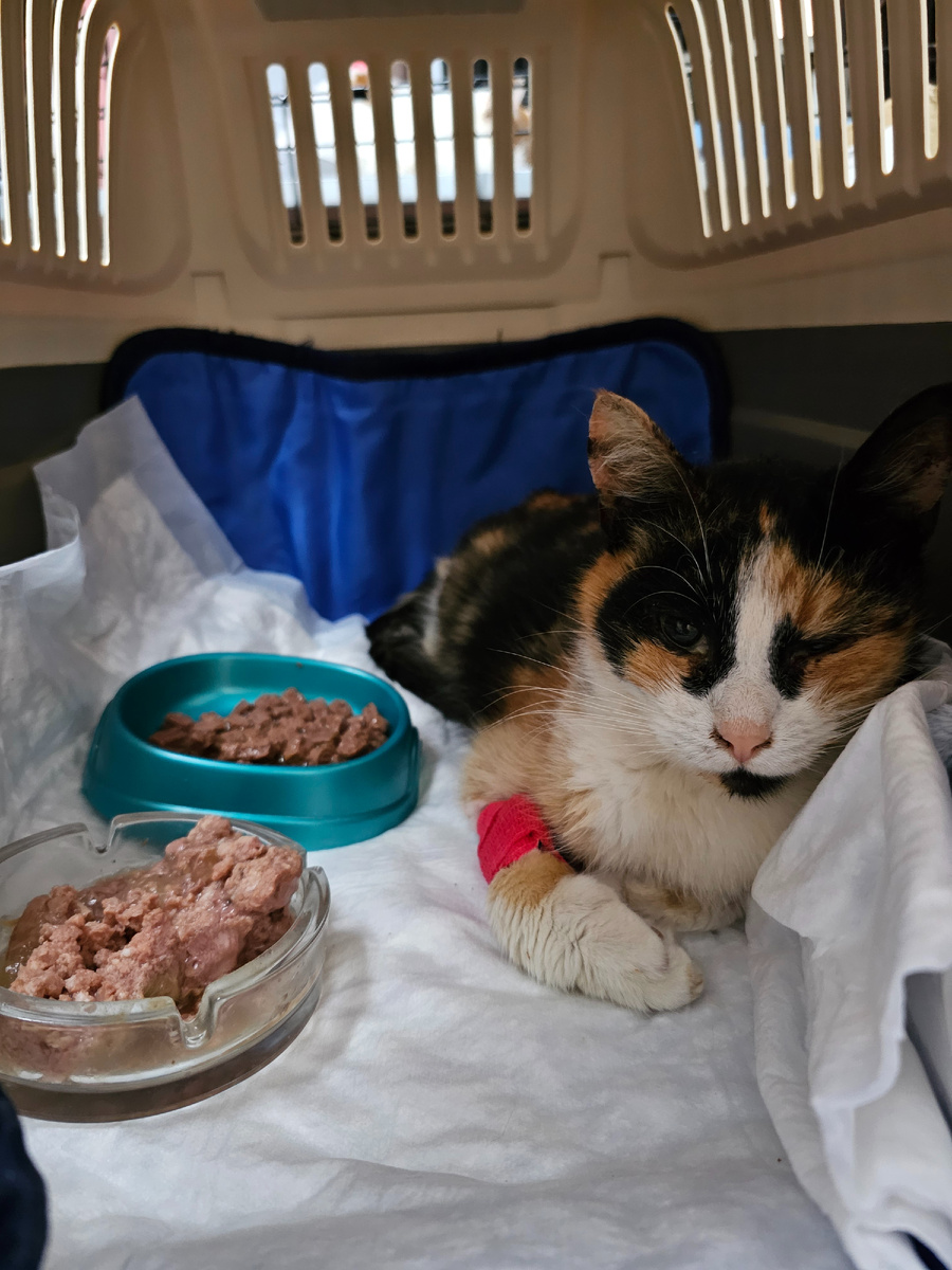 Фото автора. ЛюсИ.