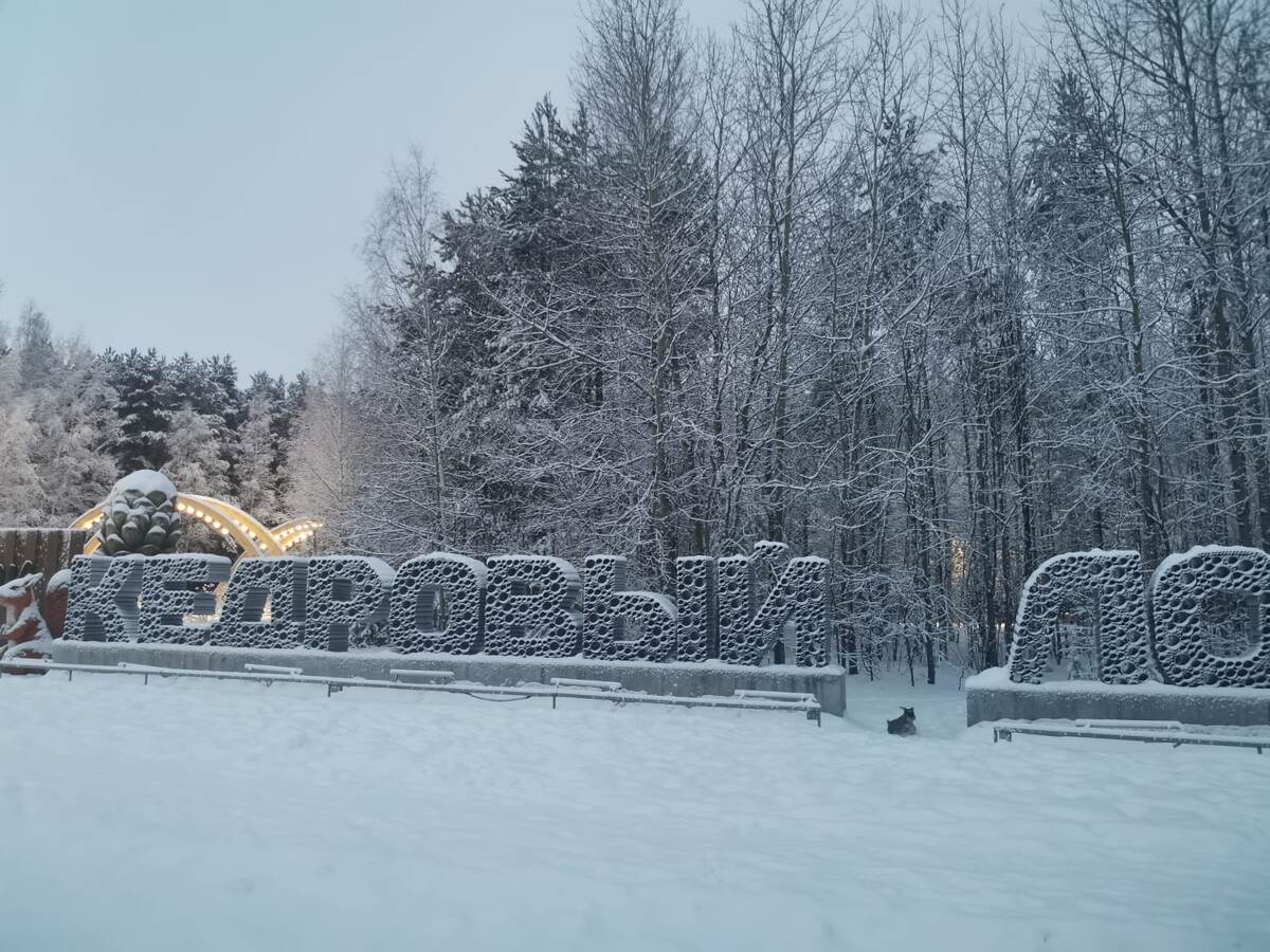 Парк «Кедровый Лог» в украшении от Деда Мороза