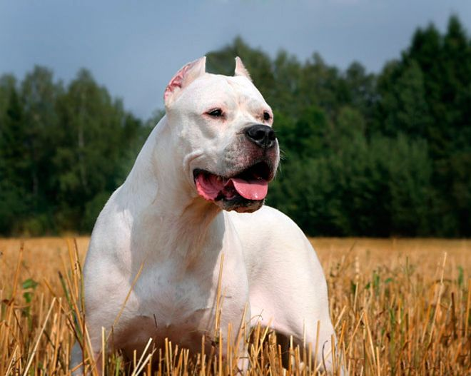 Фото с womanadvice.ru