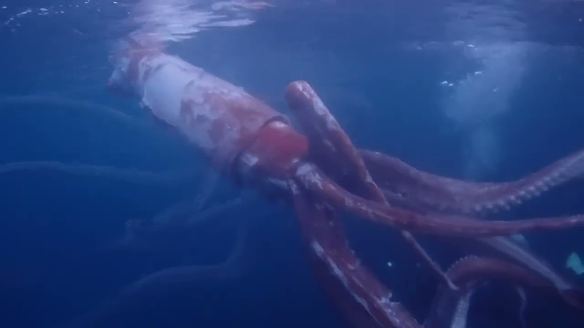 Яндекс картинки