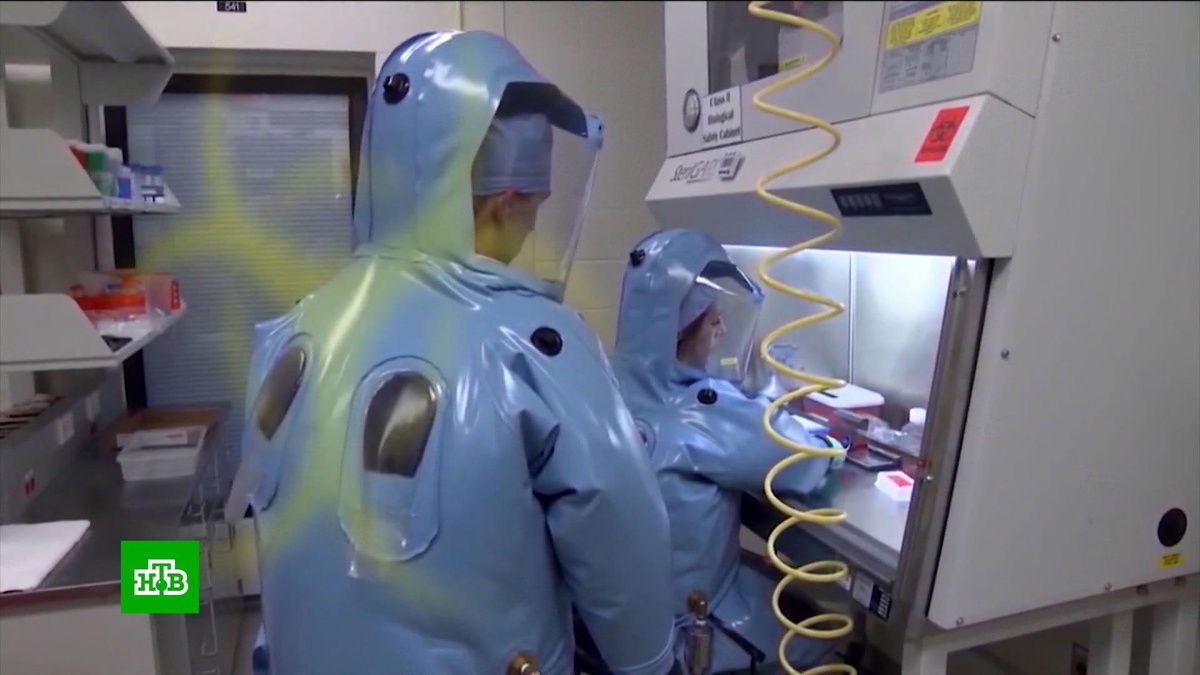    Роспотребнадзор: в РФ нет угрозы распространения оспы обезьян