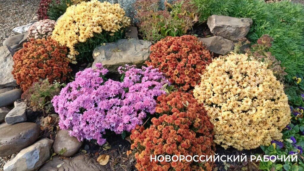    Фото Анатолия Позднякова