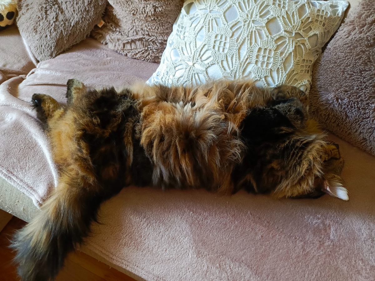 Какой-то я слишком пушистый получился.