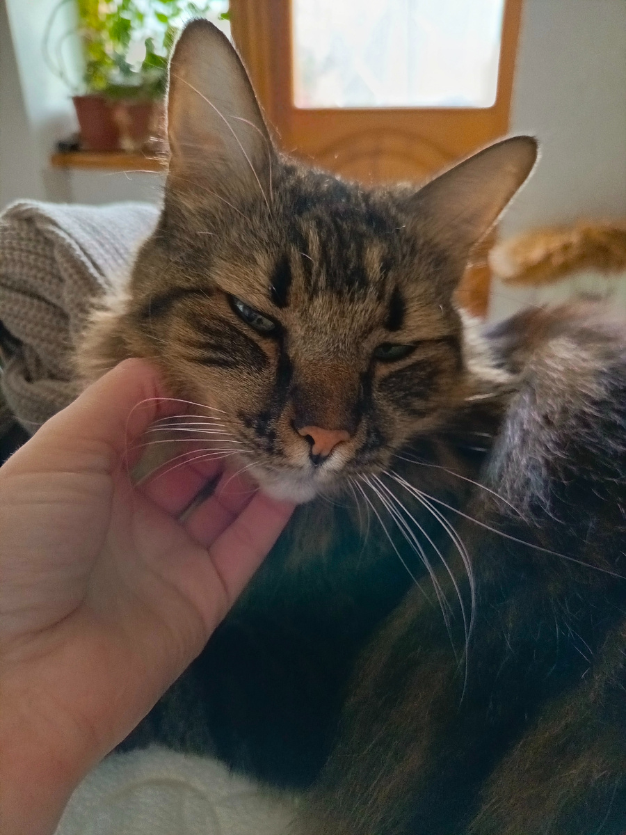 Великий помощник