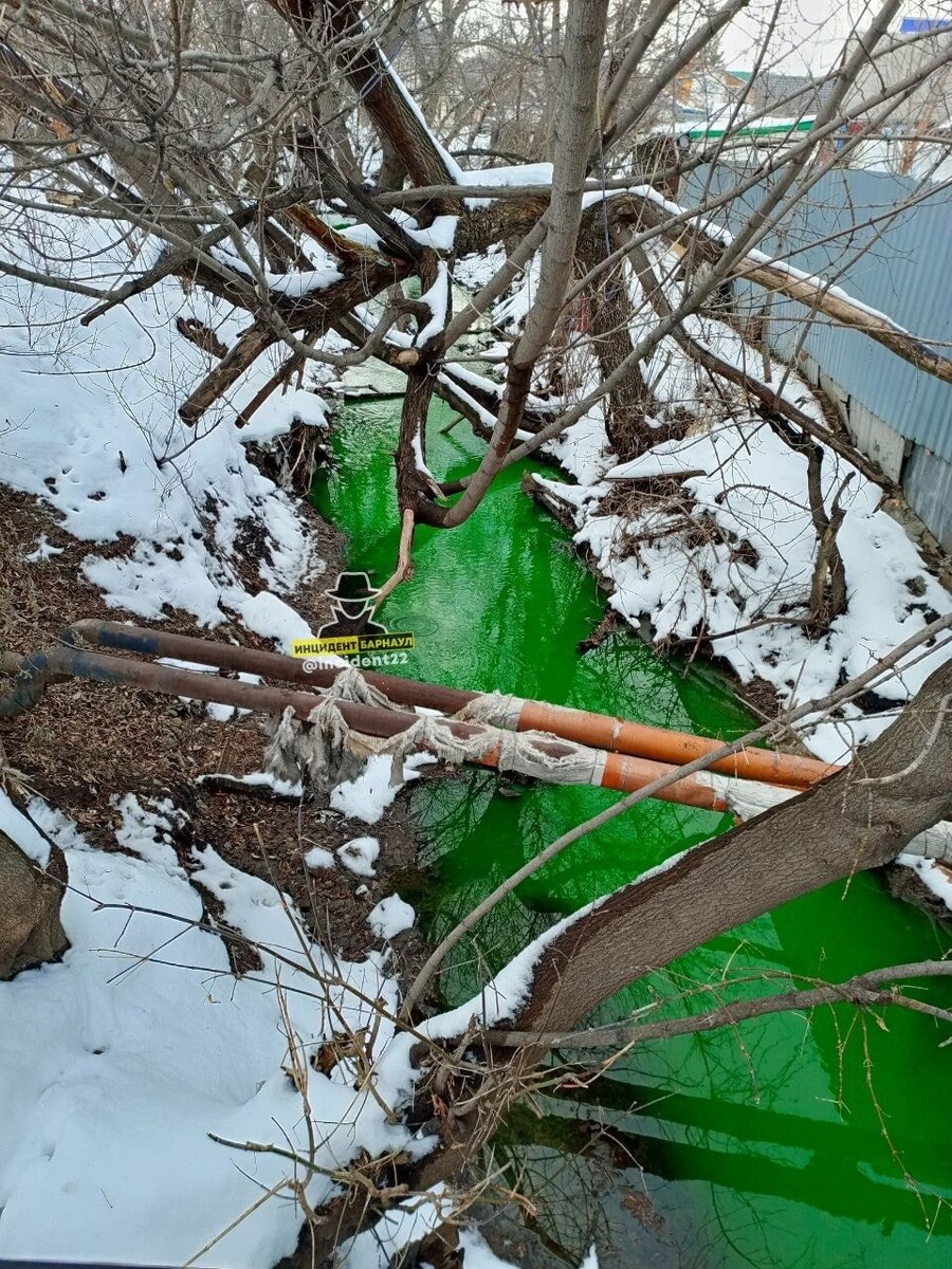    Зеленая Пивоварка. Источник: "Инцидент Барнаул"