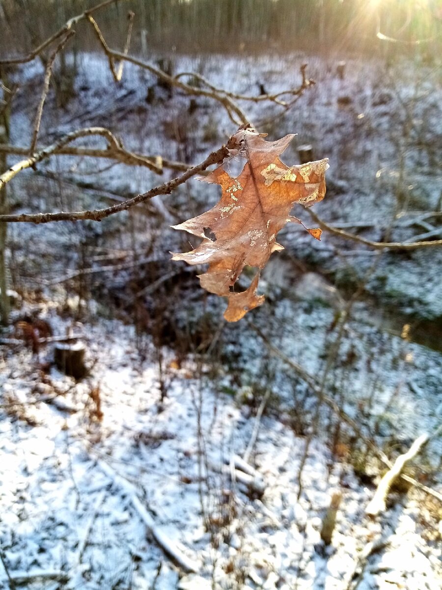 Моë, осеннее :) 