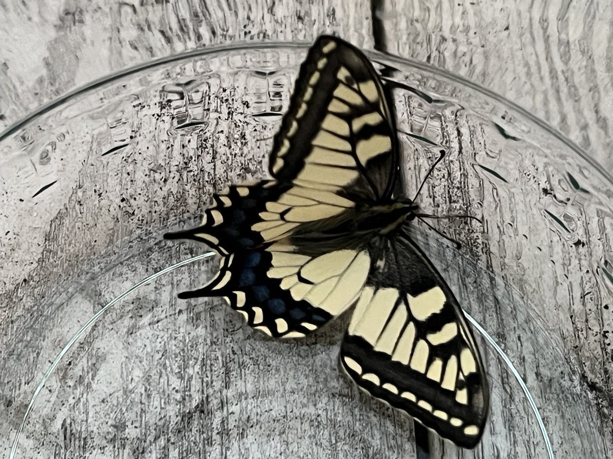 Фото из личного архива