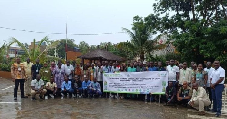     Продвижение в Африке семеноводства, средств защиты растений и агронауки: работает ADCIN
