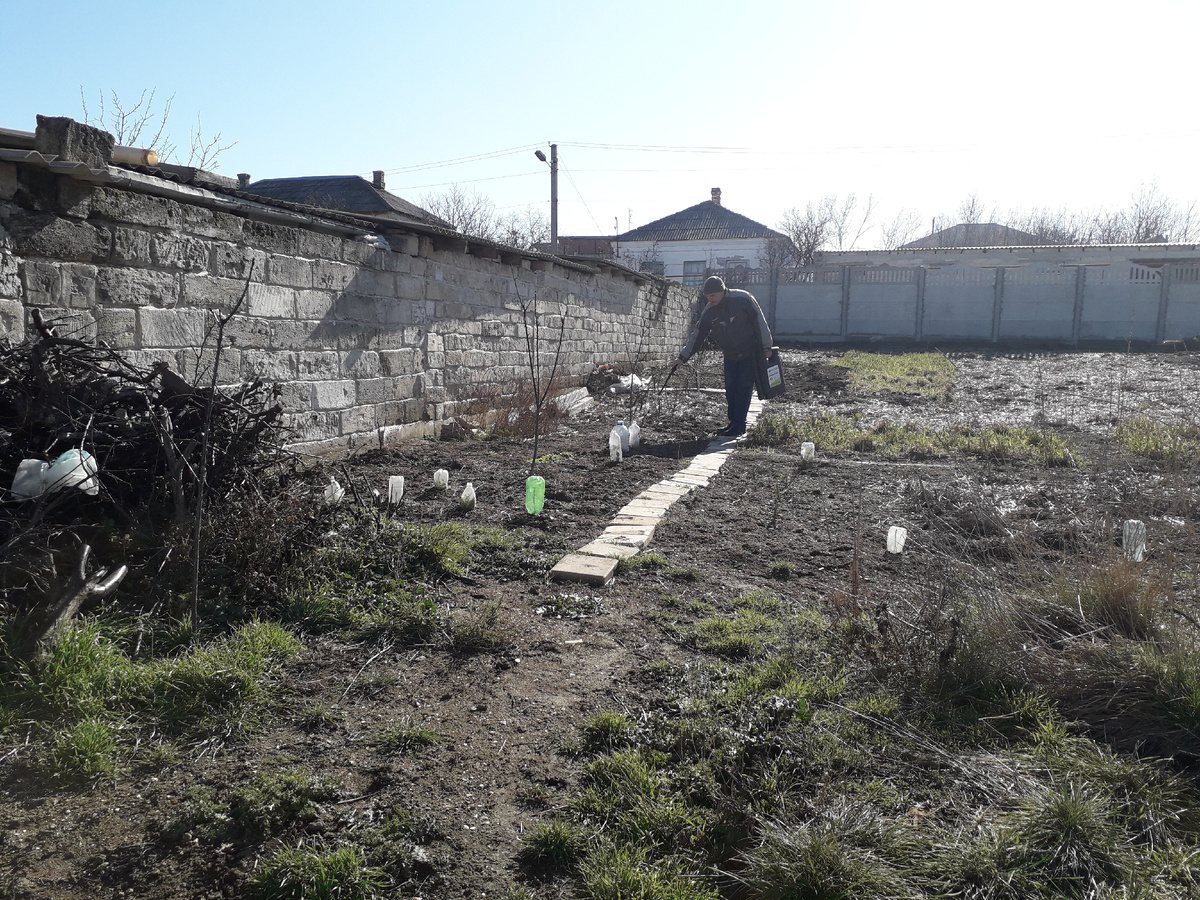 Так выглядел участок 6 лет назад. Пол участка удалось привести в порядок и посадить первые деревья. 