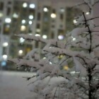  📷Белорусы поделились кадрами «настоящей зимы» и первых снеговиков, а ЖКХ перевели на усиленный режим