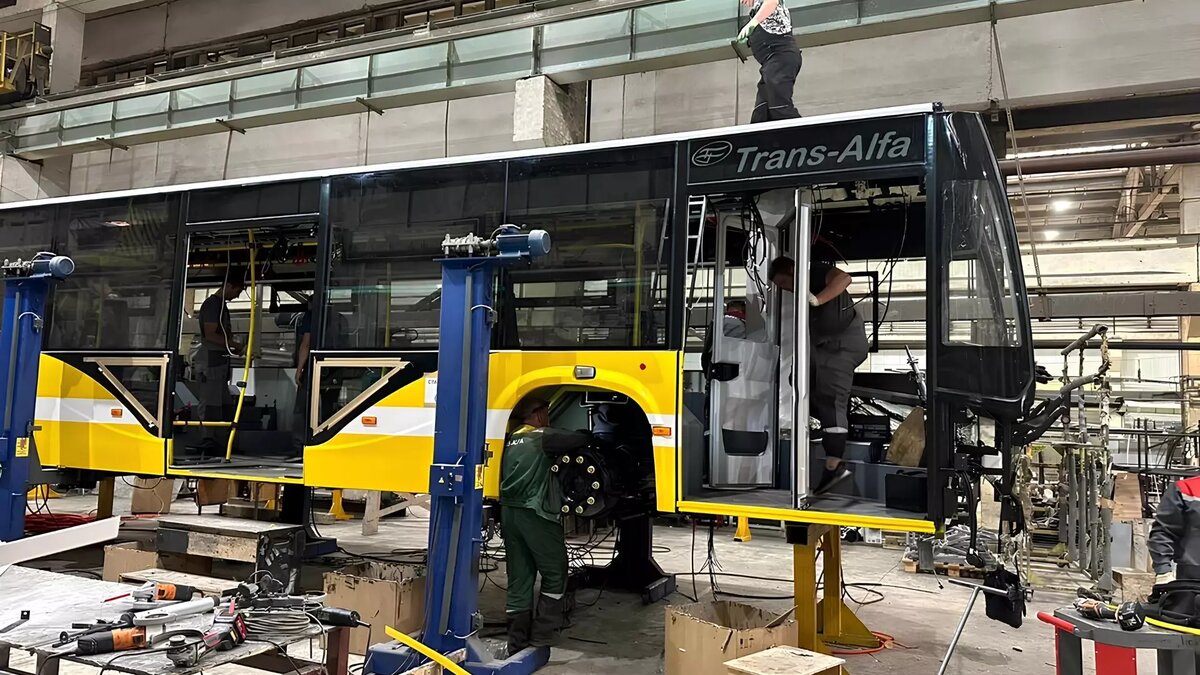     Автор: ТГ-канал Владимира Владимирова