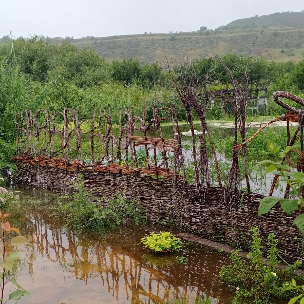 Спирея в начале потопа