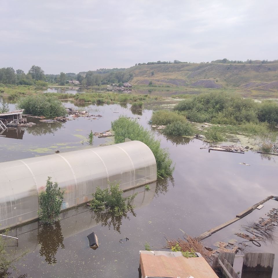 Спирея на глубине более метра в течении почти двух недель