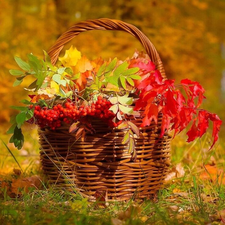 Фото взято из интернета в свободном доступе blob:https://dzen.ru/429aeaf3-2714-496f-a2ea-5b39615a0550