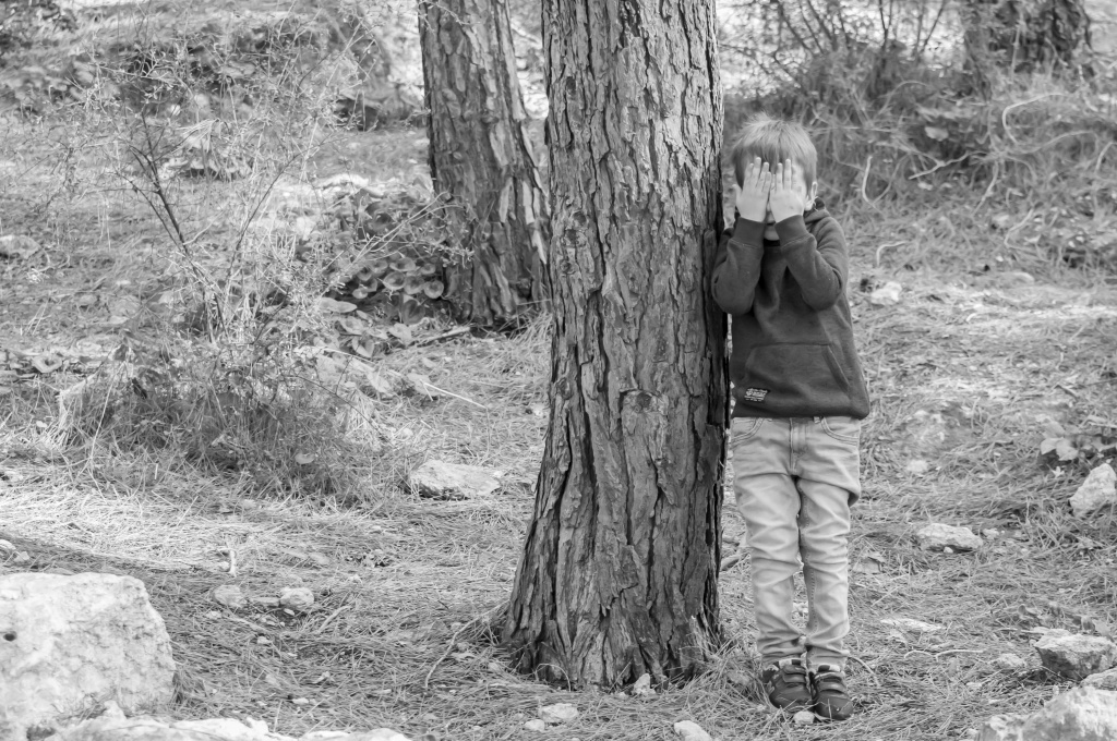 Яндекс-фото