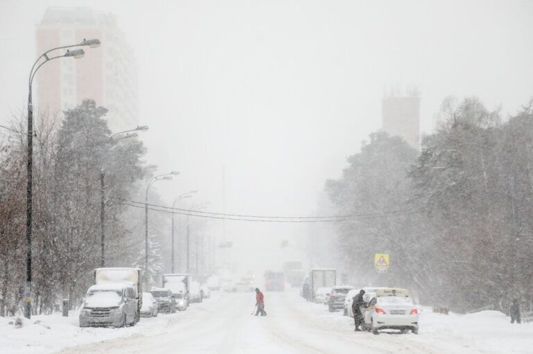    Фото: Агентство «Москва» Анфиса Слепцова