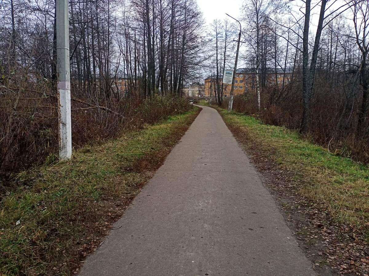 Один из двух "лесов" города Рошаля.