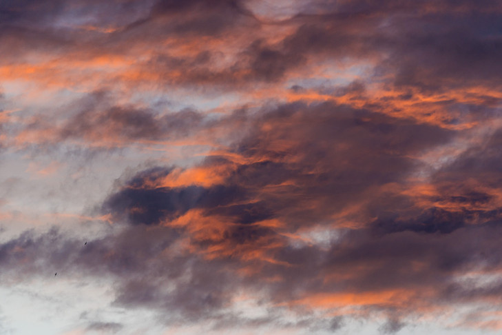    Фото Андрея Заржецкого