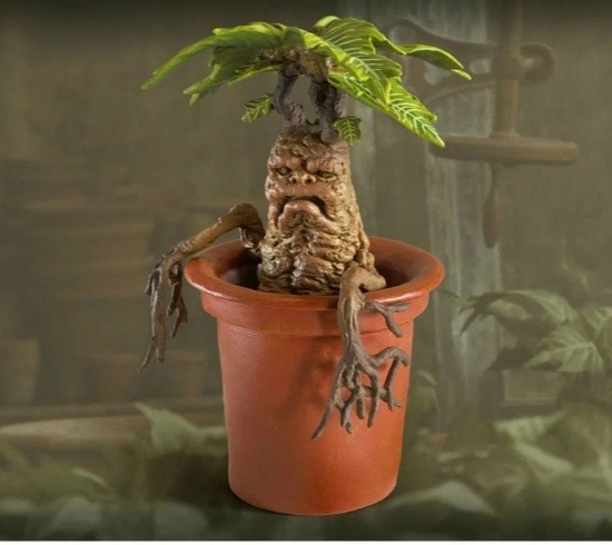 мандрагора "Гарри Поттер" фото интернет