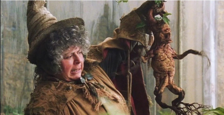 Мандрагора в "Гарри Поттер и тайная комната" фото интернет