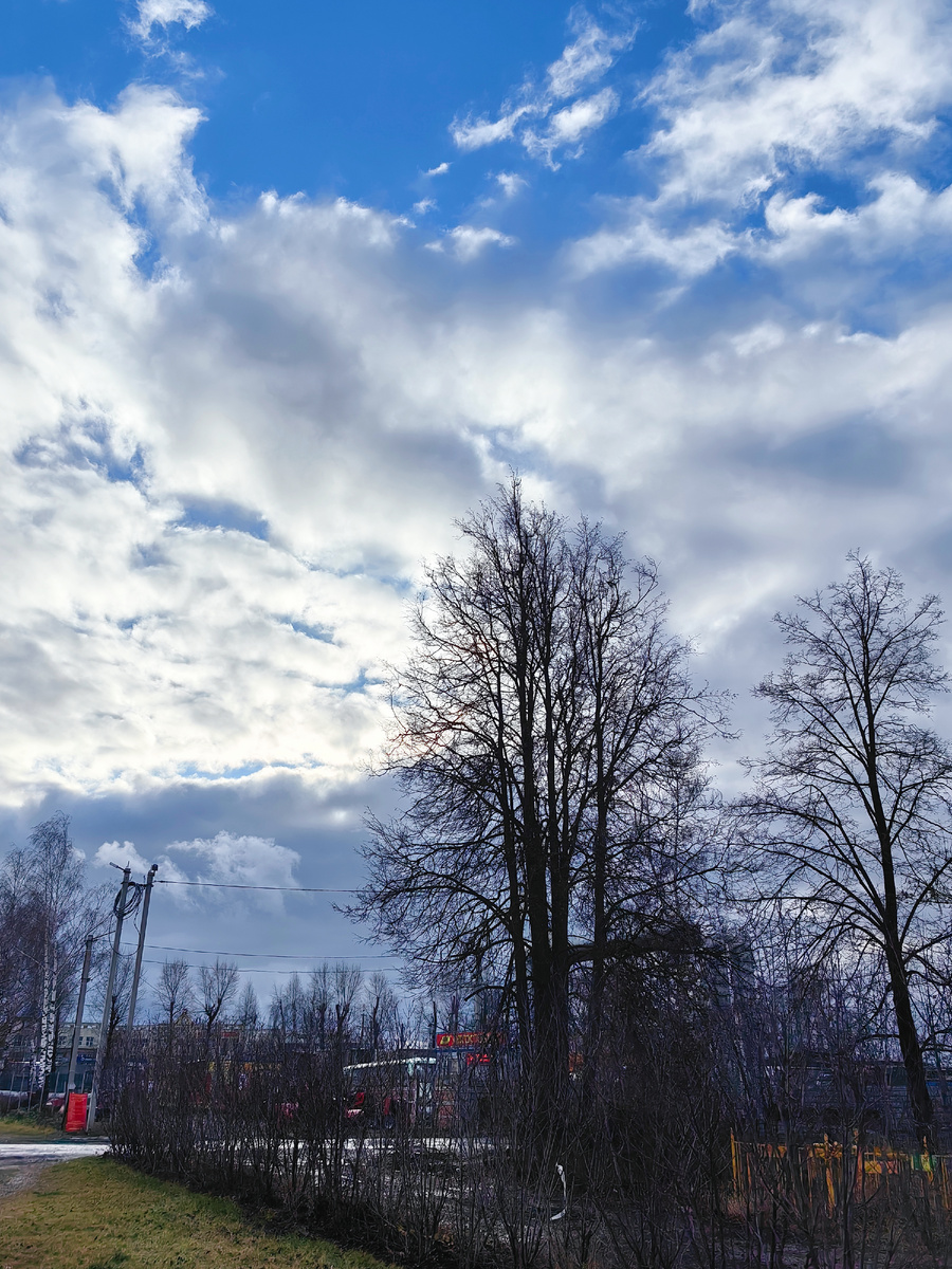 Ноябрьское небо