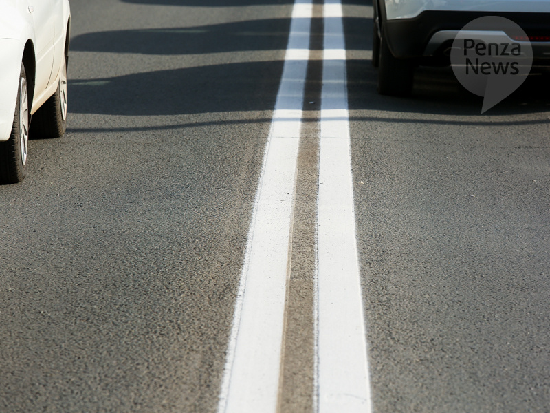    © Фото из архива ИА «PenzaNews»