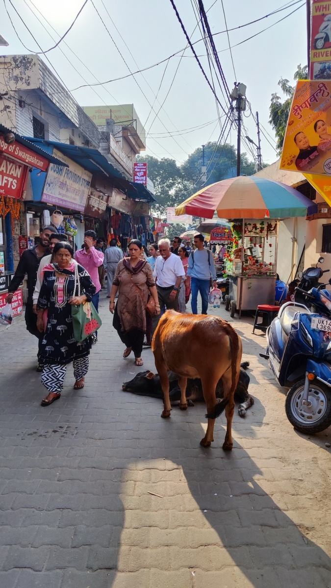 Ришикеш: улица