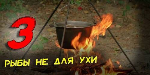 Уха на костре