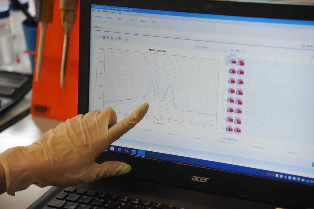    Фото © АГН «Москва» / Александр Авилов