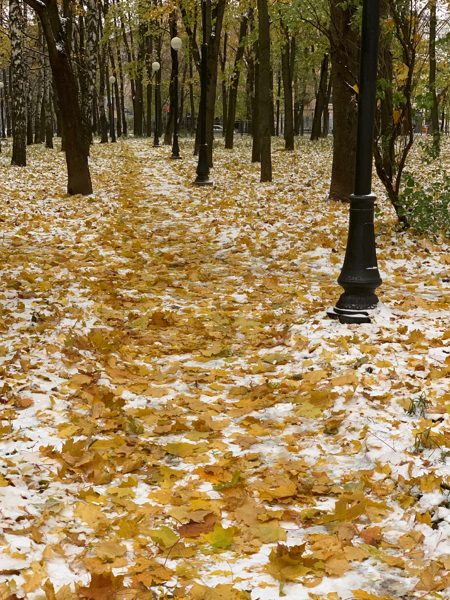 Фото из архива автора
